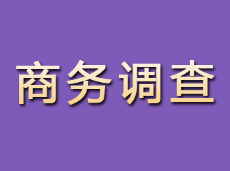 托里商务调查